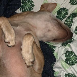 Meet your Posher, Cecilia